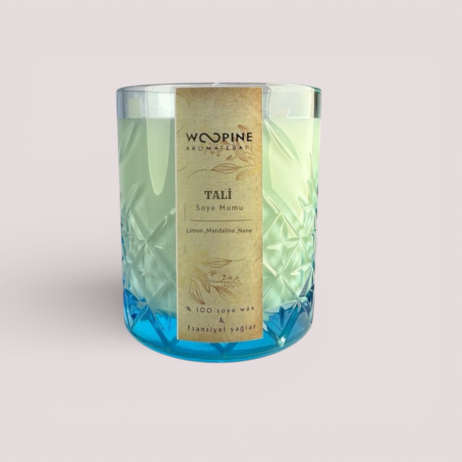 TALİ SOYA MUMU - 350 ml